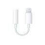 Headphone Adapter to 3.5mm Earbuds Adapter Earphone Connection Converter Apply to IOS 10.2