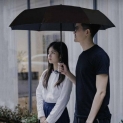 WD1 Automatic Umbrella from Xiaomi youpin
