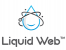 Liquid Web Hosting